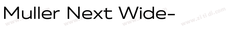 Muller Next Wide字体转换